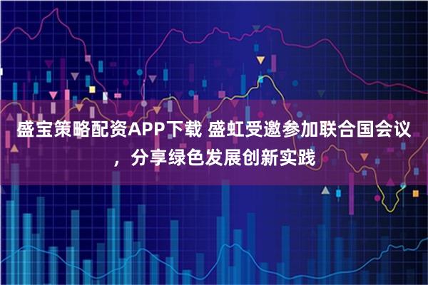 盛宝策略配资APP下载 盛虹受邀参加联合国会议，分享绿色发展创新实践