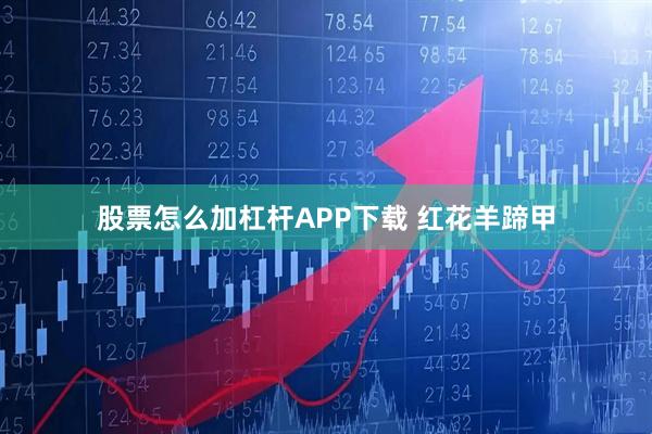 股票怎么加杠杆APP下载 红花羊蹄甲