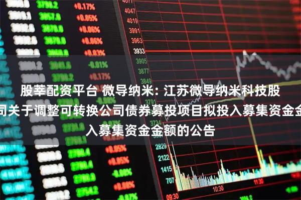 股莘配资平台 微导纳米: 江苏微导纳米科技股份有限公司关于调整可转换公司债券募投项目拟投入募集资金金额的公告